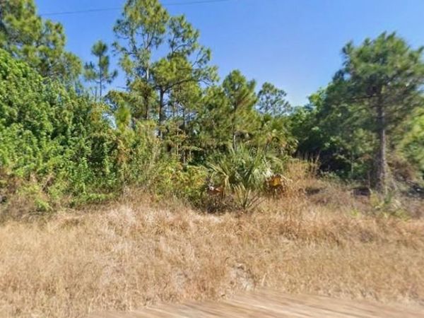 747 Milano AVE S, LEHIGH ACRES, FL 33974