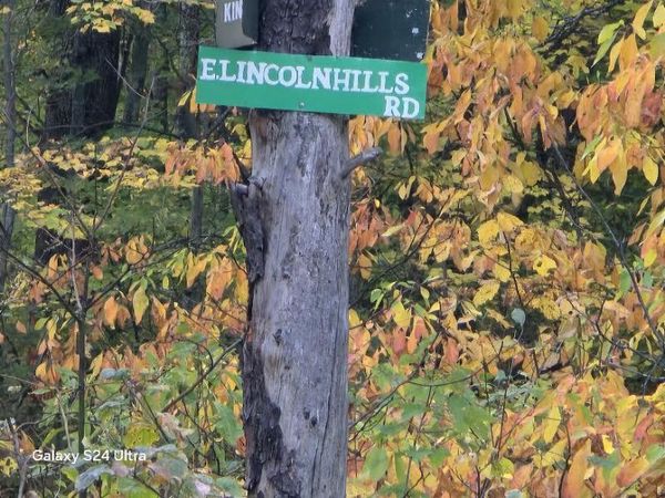 2640 E Lincoln Hills Road, Luther, MI 49656