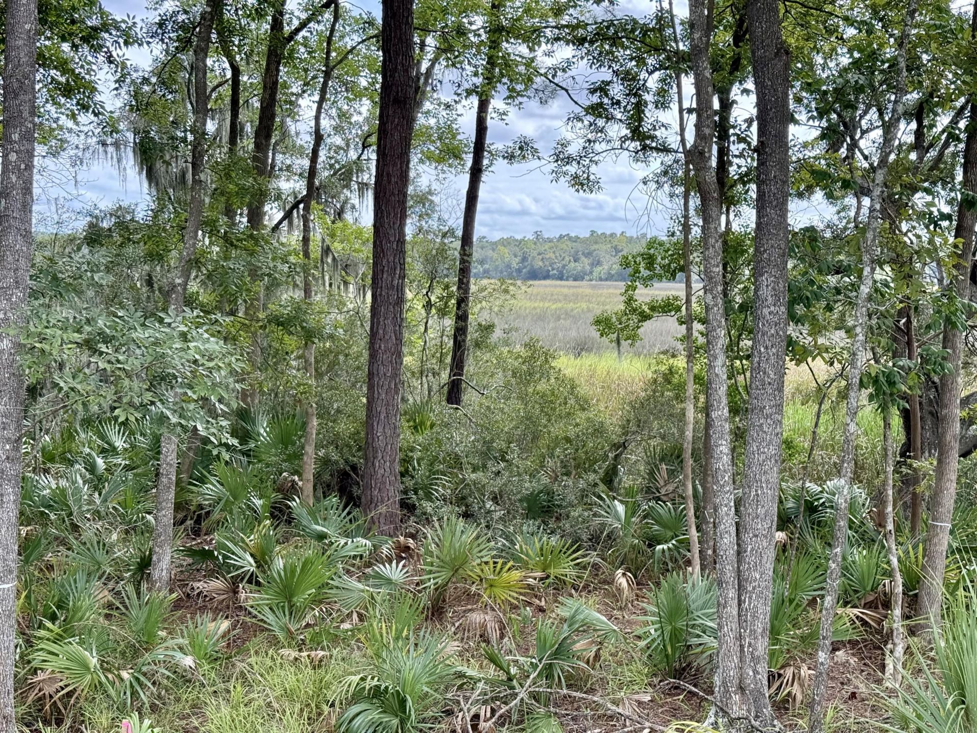 5323 Sawpit Circle Circle Photo 8