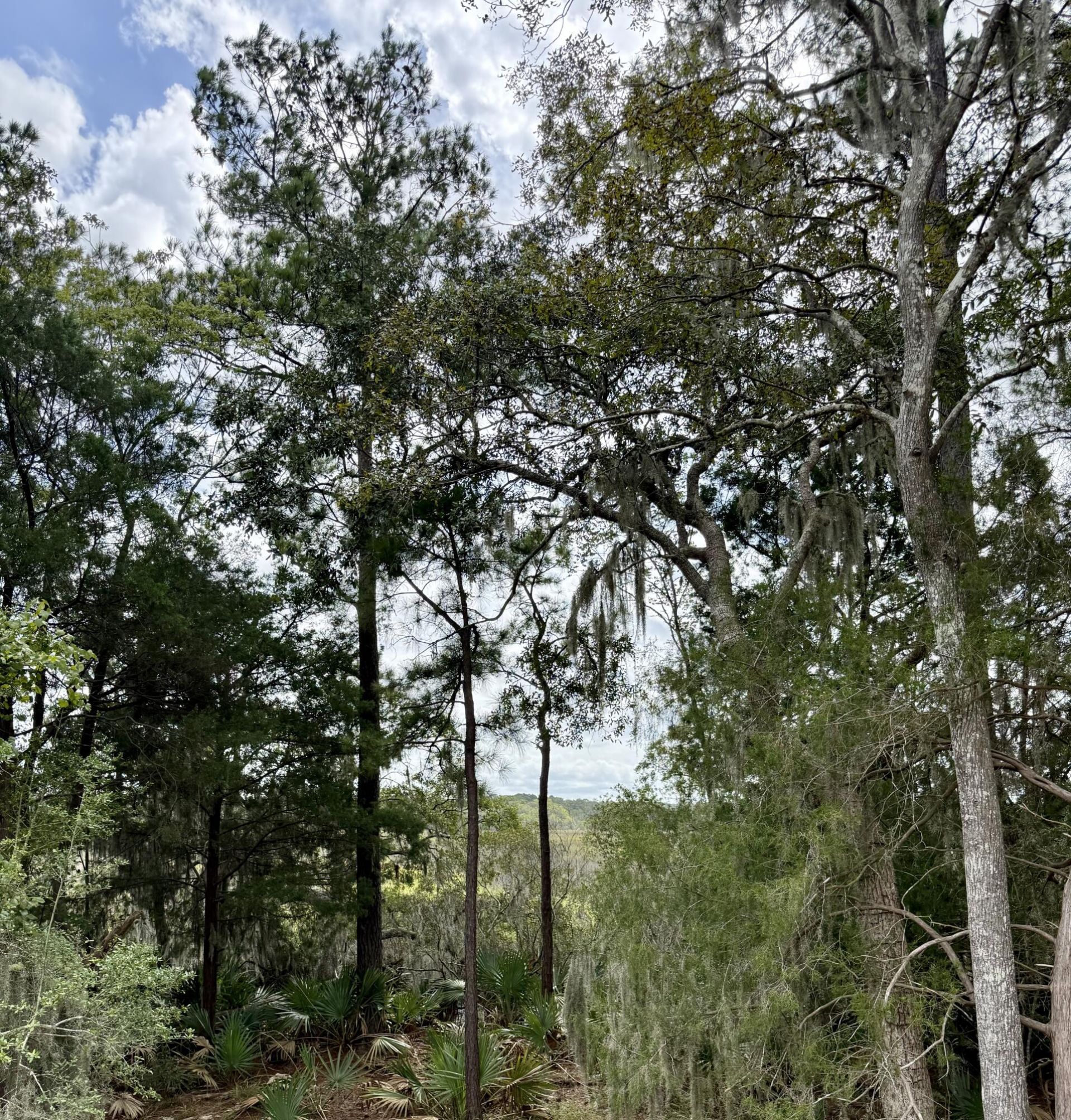 5323 Sawpit Circle Circle Photo 9