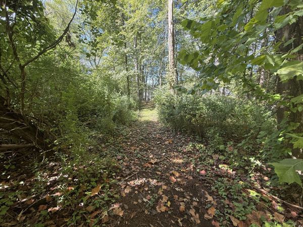 7603 Cliff Point Lane, Ooltewah, TN 37363