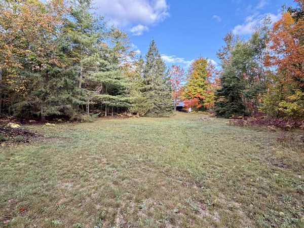 6267 Whitehouse Trail, Vanderbilt, MI 49795