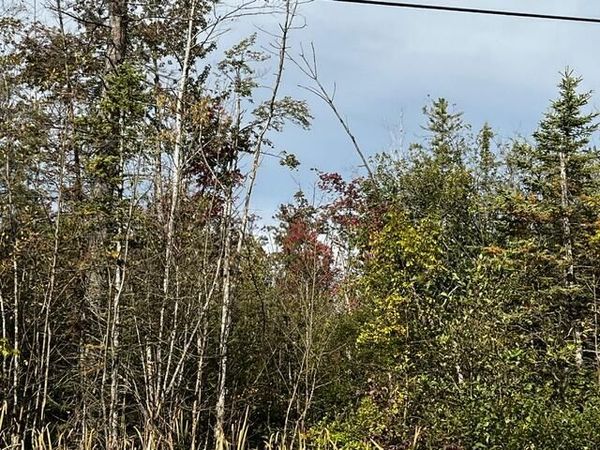 308 Geronimo Road, Alpena, MI 49707