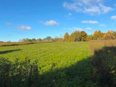 Jackson Road, Carthage, NY 13619