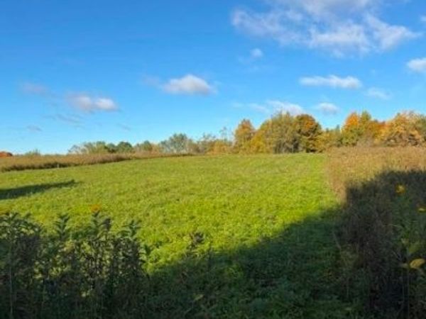 Jackson Road , Carthage, NY 13619