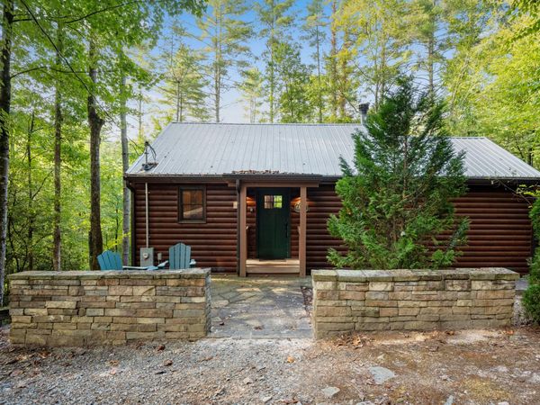 67 All Good Road, Cherry Log, GA 30522