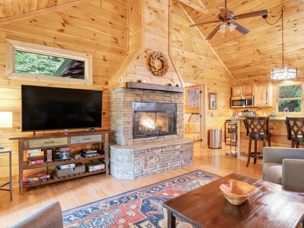 67 All Good Road , Cherry Log, GA 30522