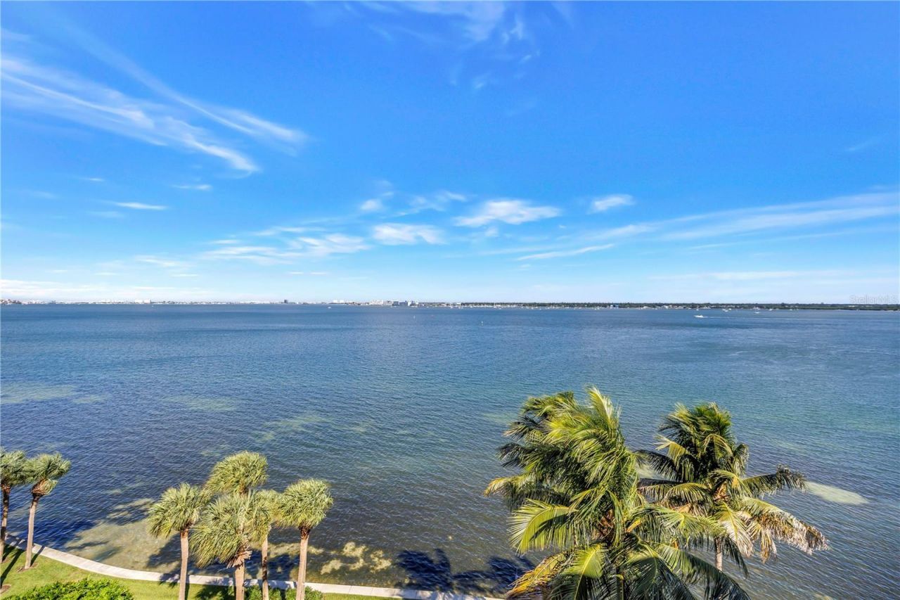4981 Bacopa Lane S, Unit 602, Saint Petersburg, FL 33715 Photo