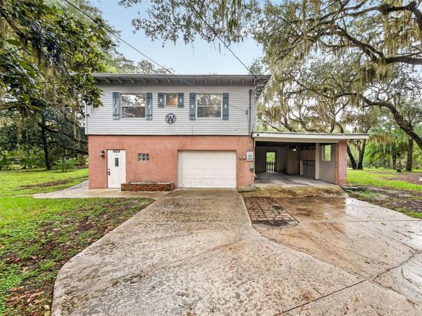 15096 NE 240TH COURT , SALT SPRINGS, FL 32134