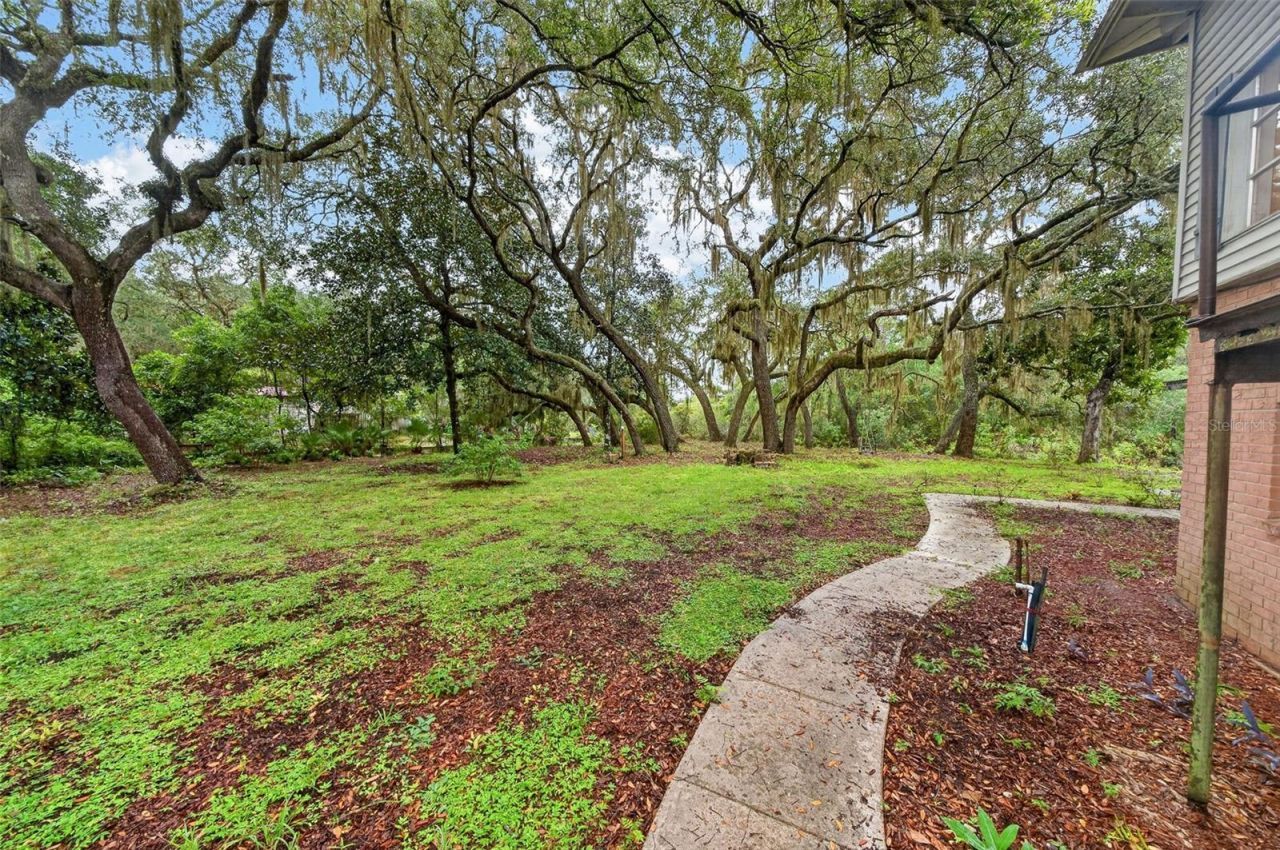 15096 NE 240th Court, Salt Springs, FL 32134 Photo