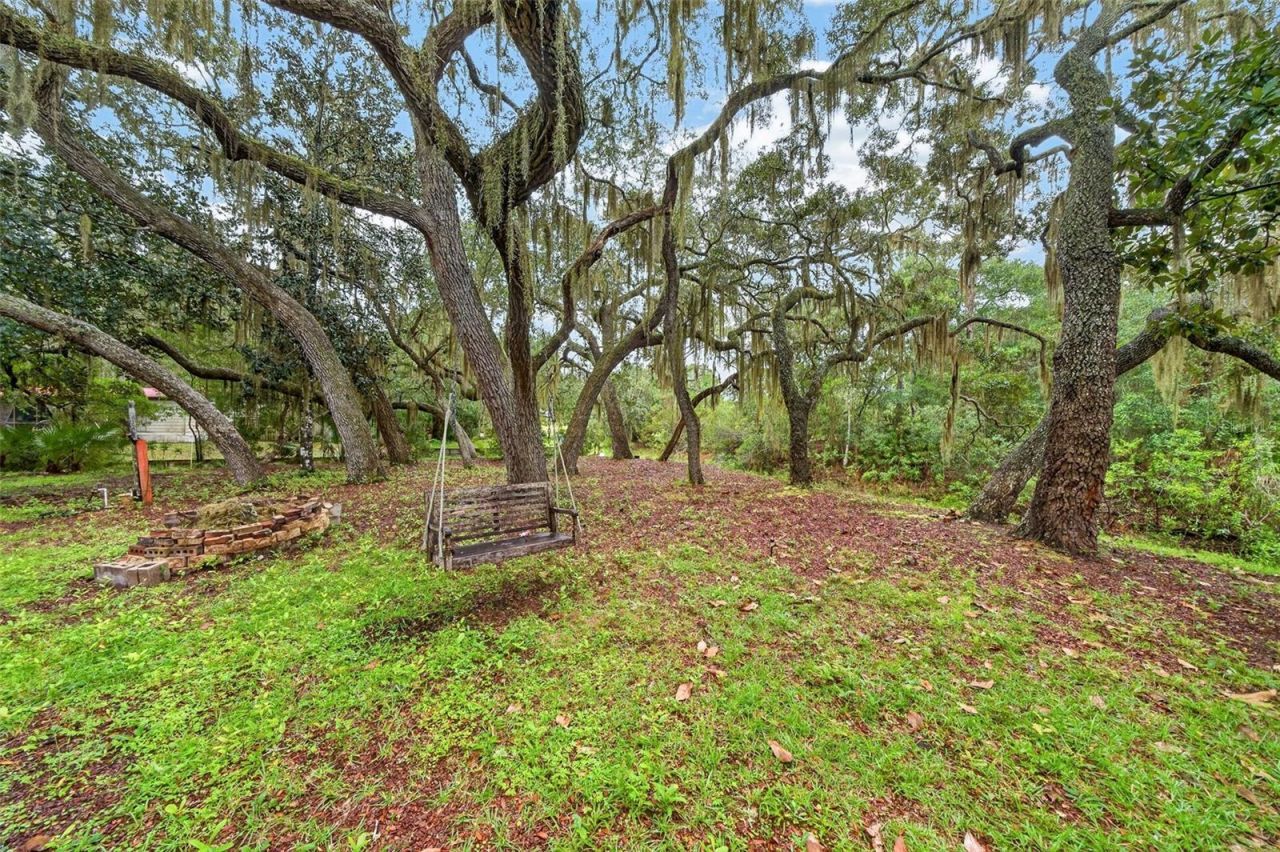 15096 NE 240th Court, Salt Springs, FL 32134 Photo