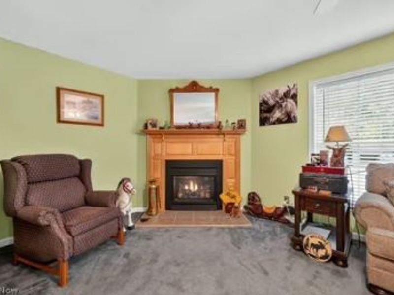 2153 S Deer Run, Roaming Shores, OH 44084 Photo 8