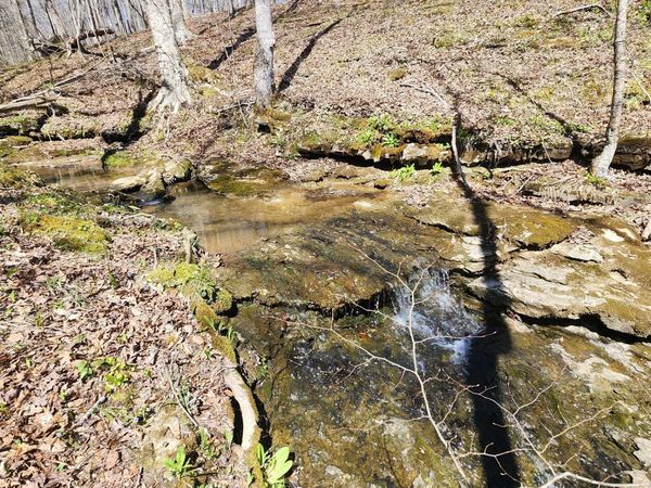 0 Allen Bend Rd , Smithville, TN 37166