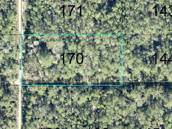 170 DILLLION AVENUE , HASTINGS, FL 32145
