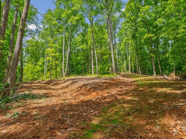 1 Budds Creek Road, Unit Lot 1, Palmyra, TN 37142