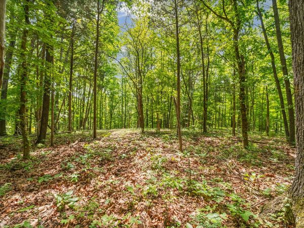 2 Budds Creek Road, Unit Lot 2, Palmyra, TN 37142