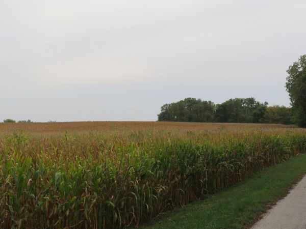 00 N 275 Road W, Crawfordsville, IN 47933