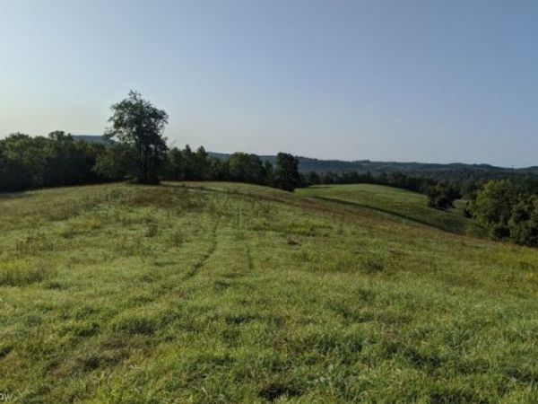 00000 St Rt 148 , Beallsville, OH 43716
