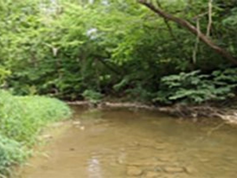 00000 St Rt 148 OR (Hunter New Castle Rd), Beallsville, OH 43716 Photo 2