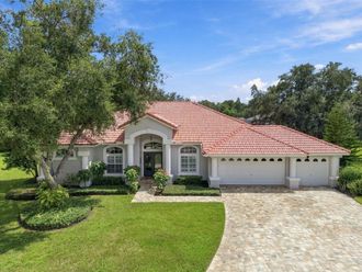 6901 AQUEDUCT TERRACE Odessa, FL 33556