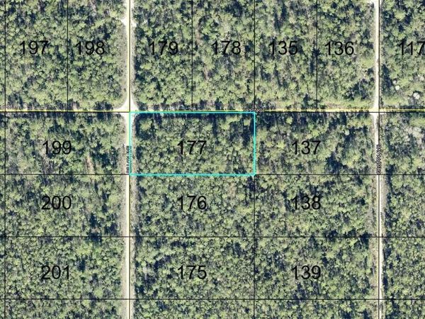 177 DILLION AVENUE , HASTINGS, FL 32145
