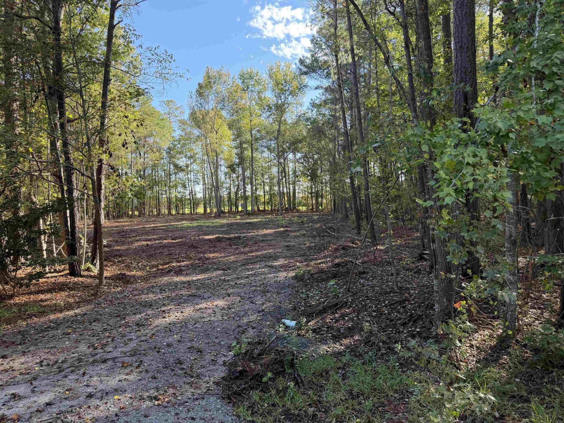 Tract 1 Wise Rd. Photo 1