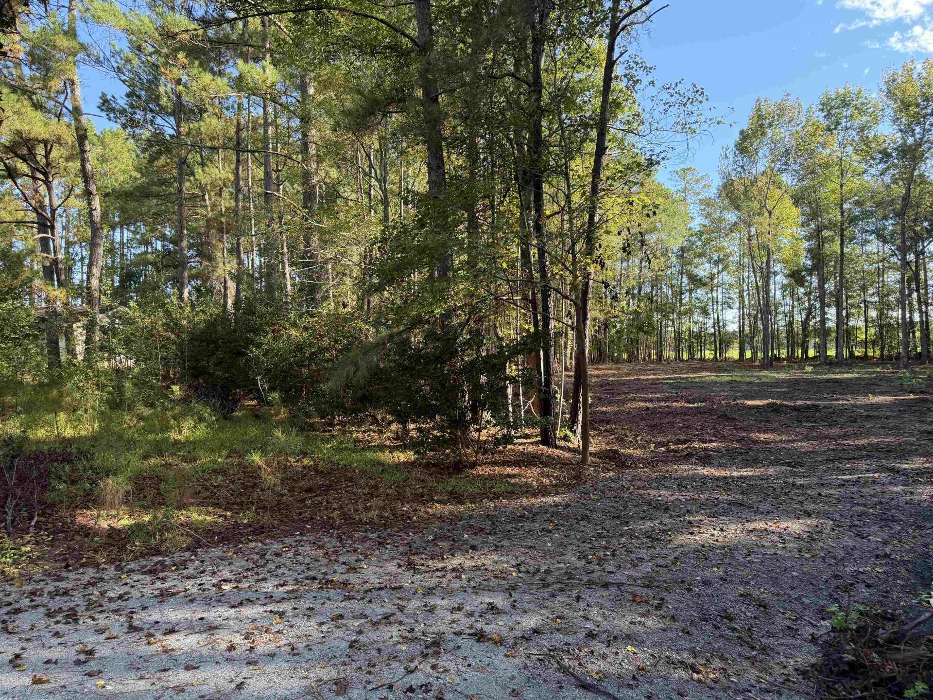 Tract 1 Wise Rd. Photo 6