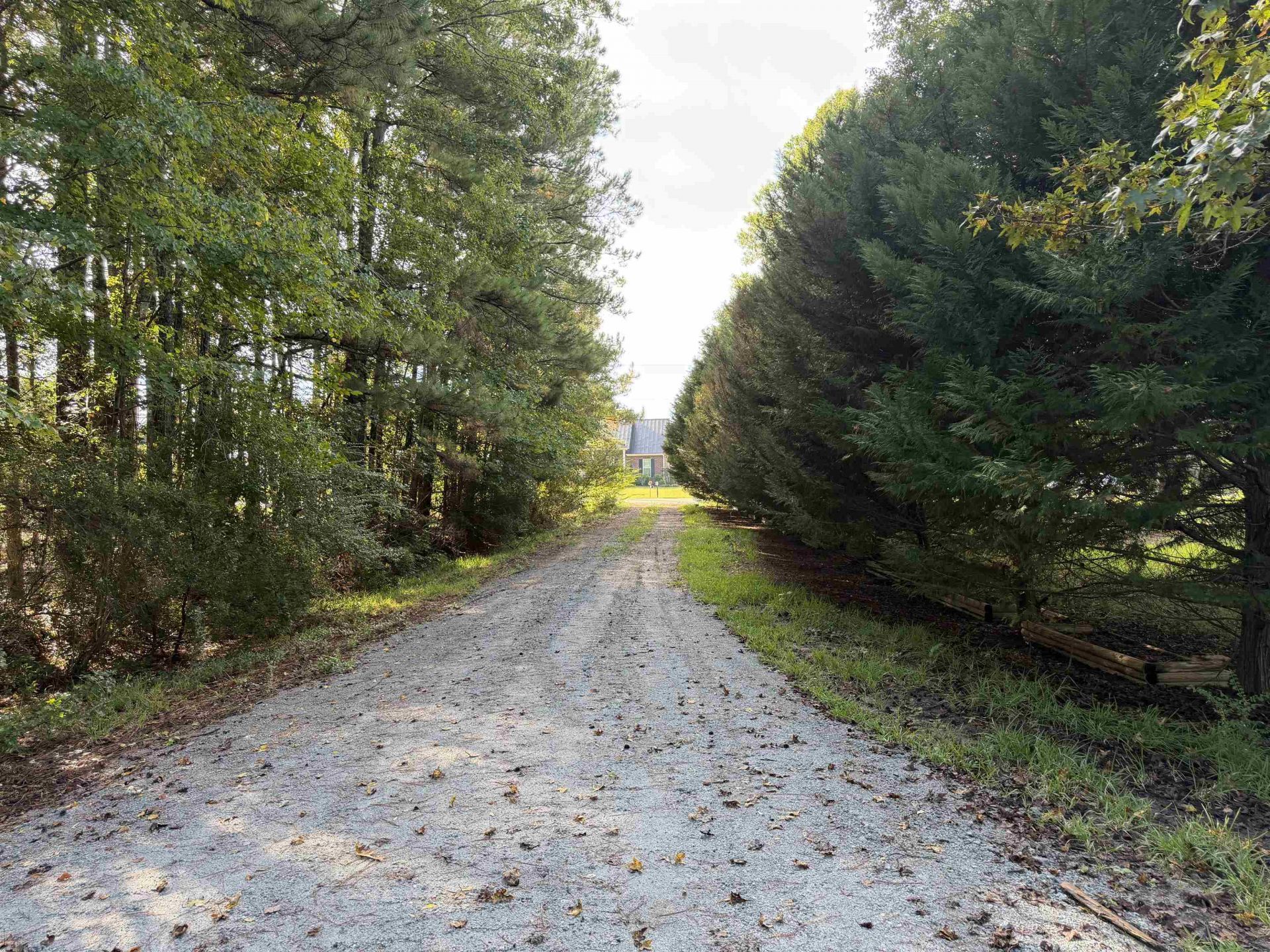 Tract 1 Wise Rd. Photo 7