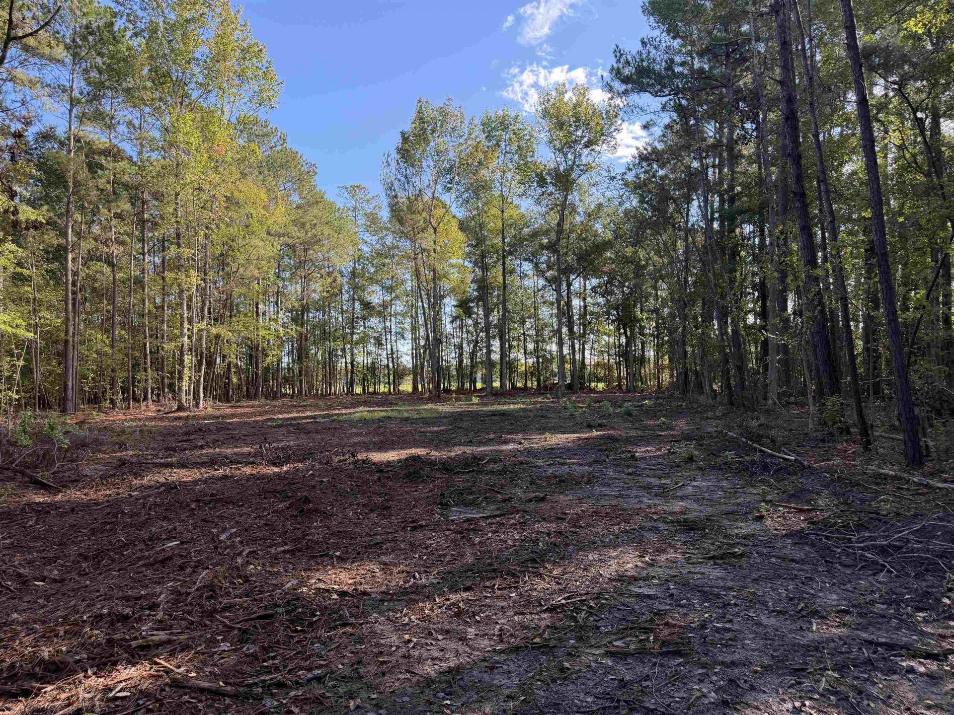 Tract 1 Wise Rd. Photo 8