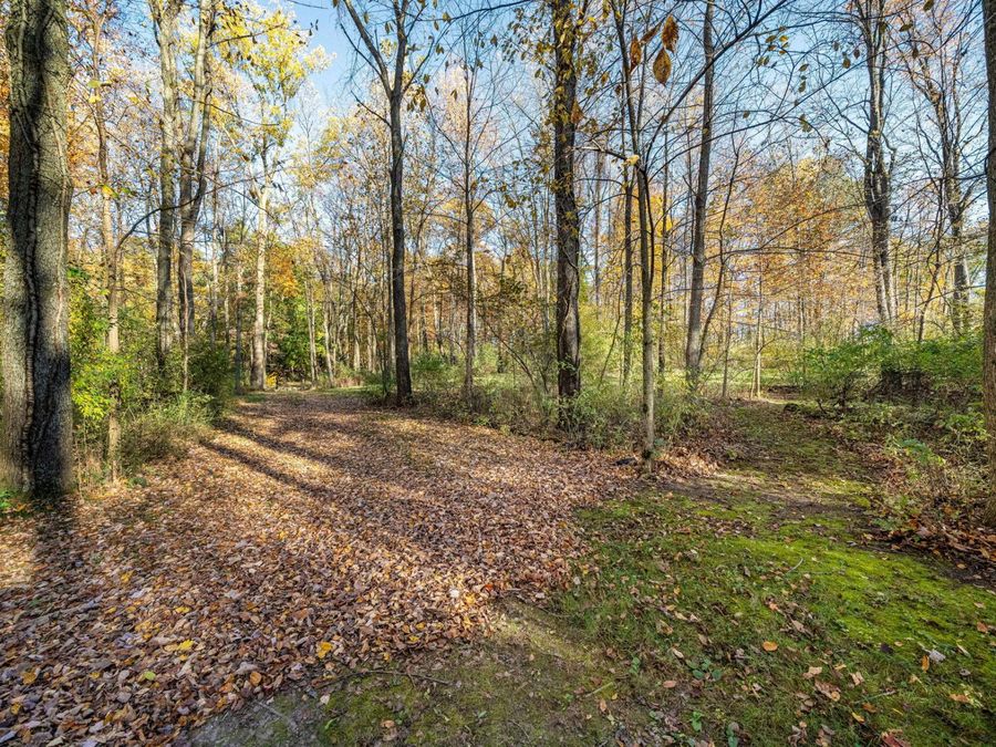 Property Image 63