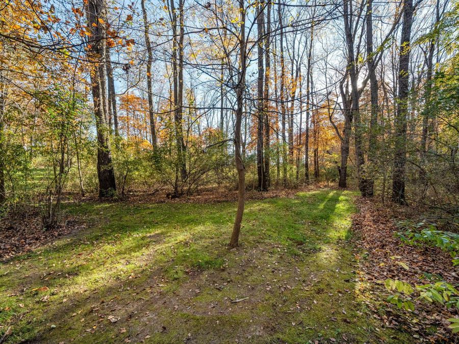 Property Image 64