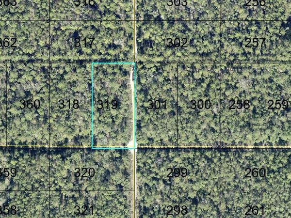 319 TIPPIN STREET , HASTINGS, FL 32145