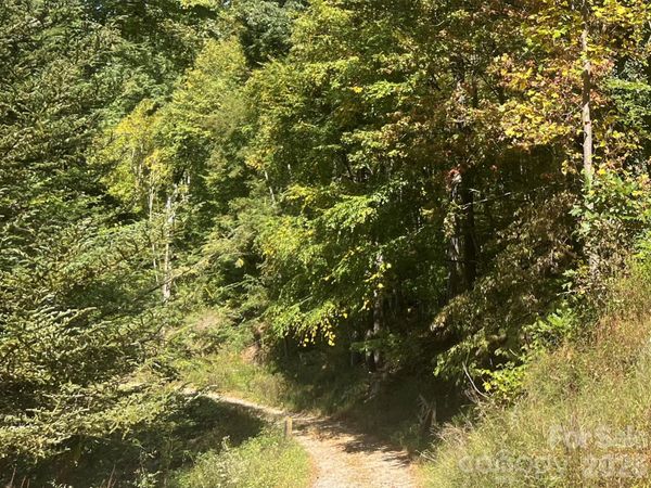 00 Gibson Branch Road , Clyde, NC 28721