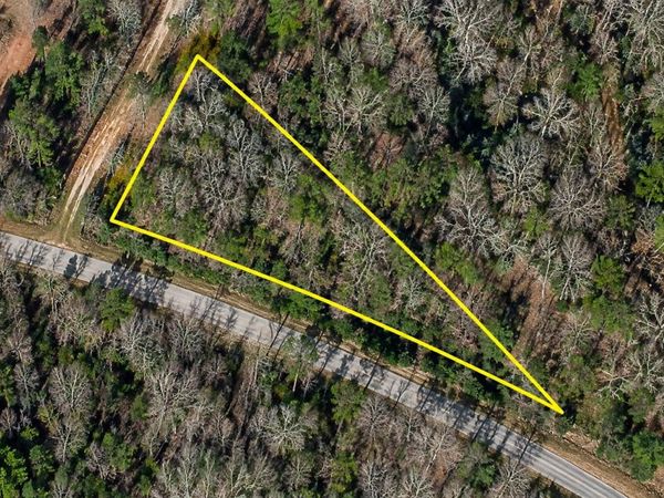 TBD W County Line Rd. , Hemingway, SC 29554