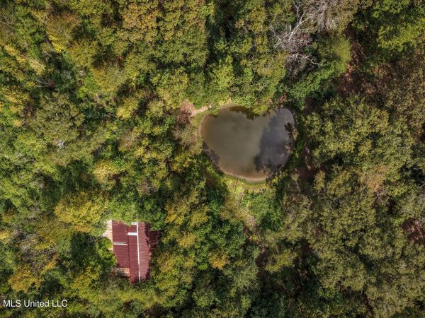 Allen Lane, Magnolia, MS 39652