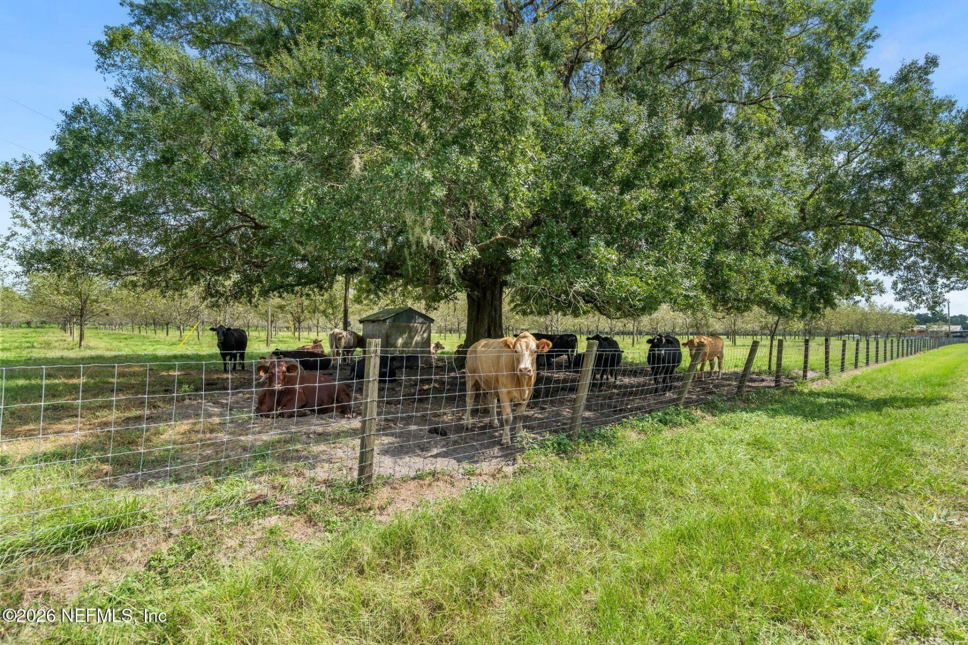 00 SW County Rd 100a, Starke, FL 32091 Photo
