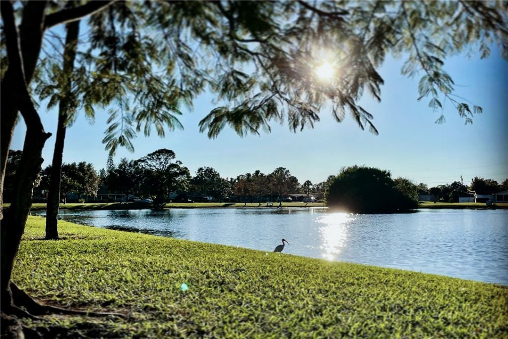 425 Easy Street , Sebastian, FL 32958 Photo