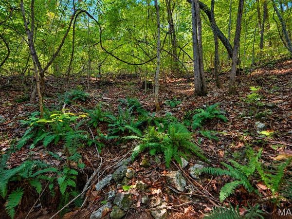 2266 Gravois Road, St Clair, MO 63077