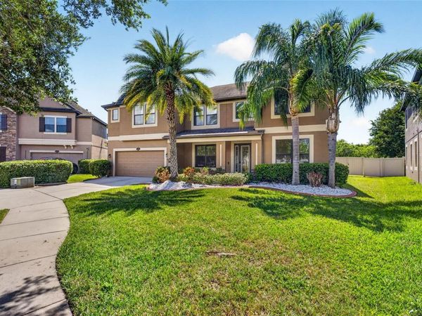 11603 PALMETTO PINE STREET , RIVERVIEW, FL 33569