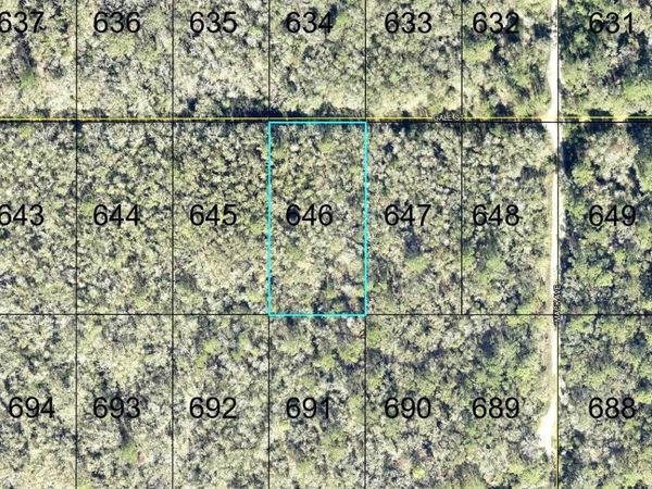 646 GALE STREET , HASTINGS, FL 32145