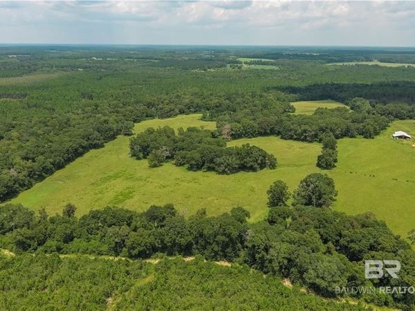 0 Circle R Farm Drive, Florala, AL 36442