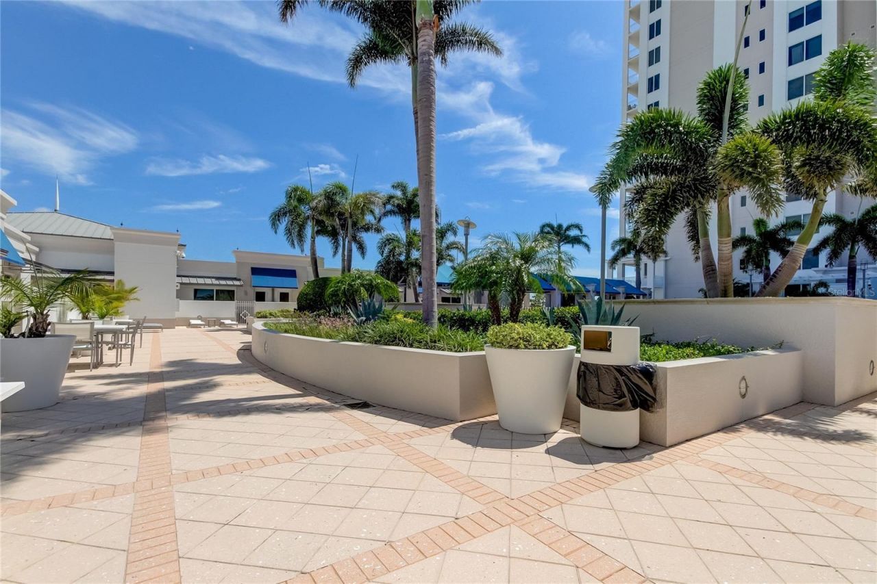 331 Cleveland Street , Unit 317, Clearwater, FL 33755 Photo