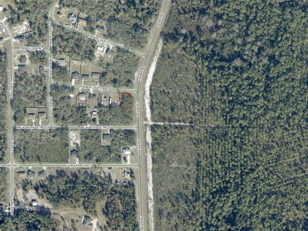 0 FISHER LOOP COURSE , OCKLAWAHA, FL 32179