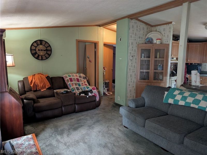 110 W Lebanon Road, Unit 28, Dalton, OH 44618 Photo 12