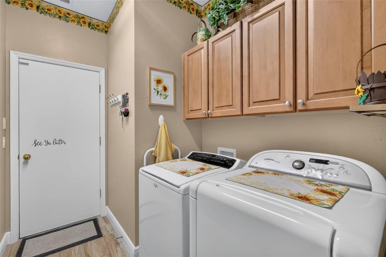8021 Saint James Way, Mount Dora, FL 32757 Photo
