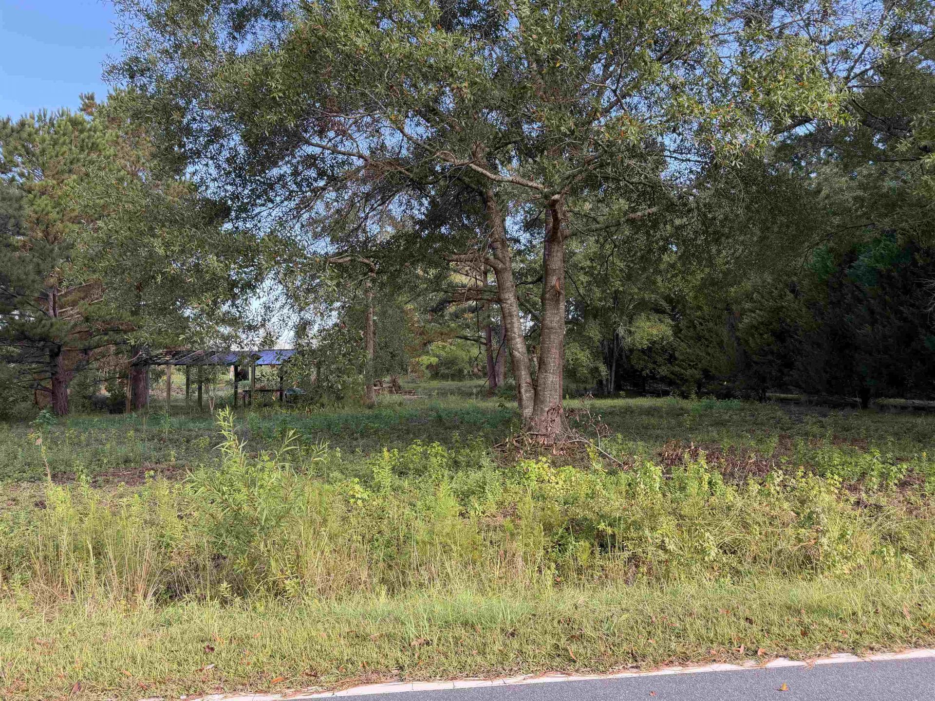 Tract 3 Wise Rd. , Conway, SC 29526 Main Photo