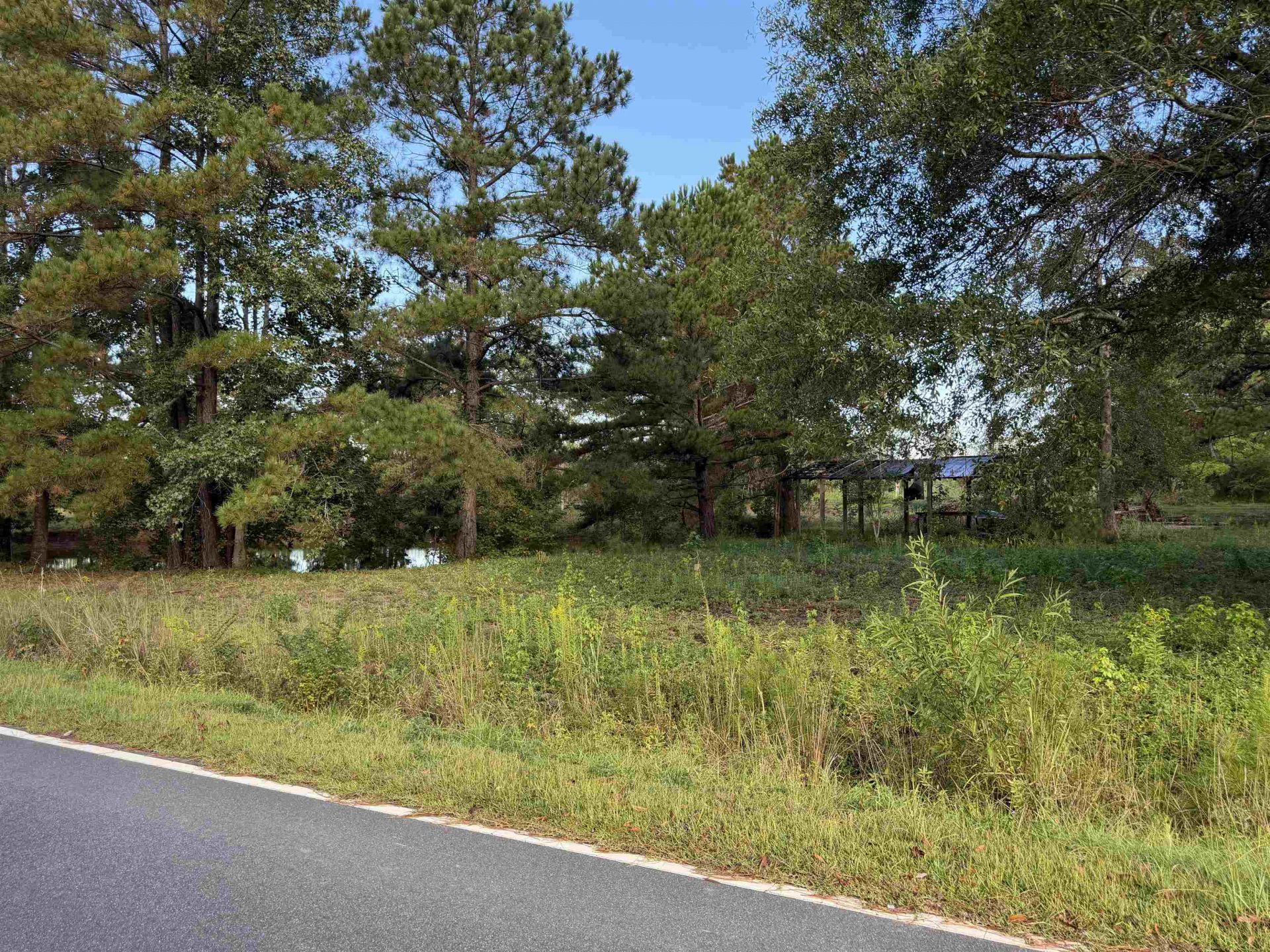 Tract 3 Wise Rd.  Photo 2