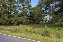 Tract 3 Wise Rd.  photo 4