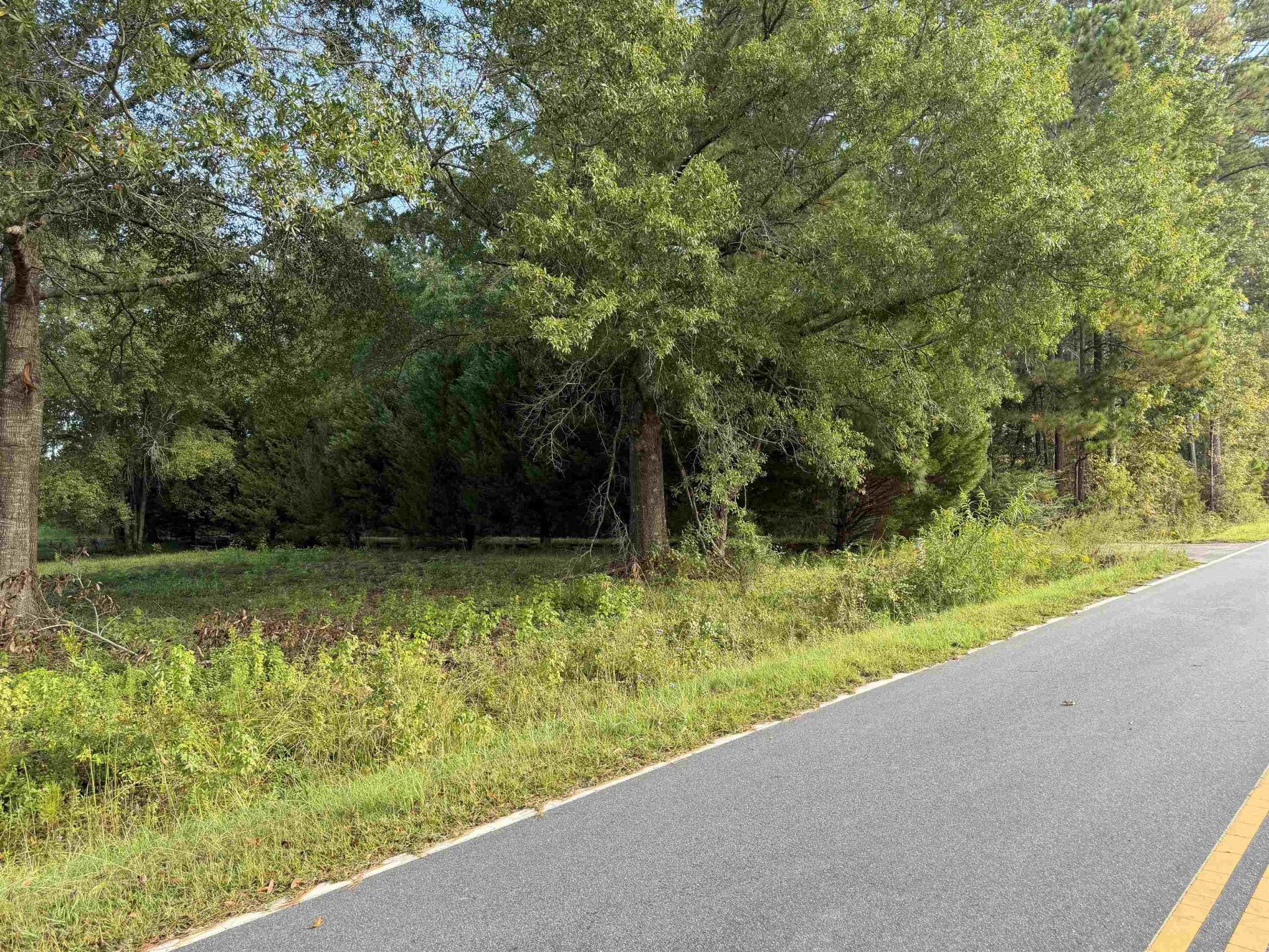 Tract 3 Wise Rd.  Photo 3