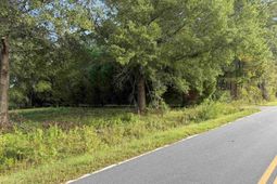 Tract 3 Wise Rd.  photo 4